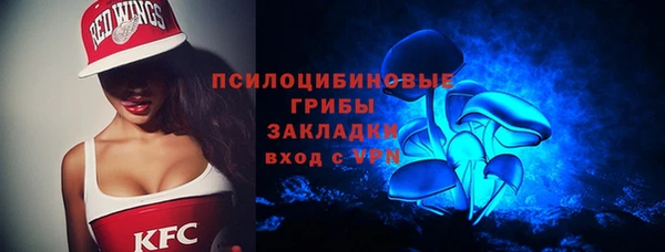 ПСИЛОЦИБИНОВЫЕ ГРИБЫ Заволжск