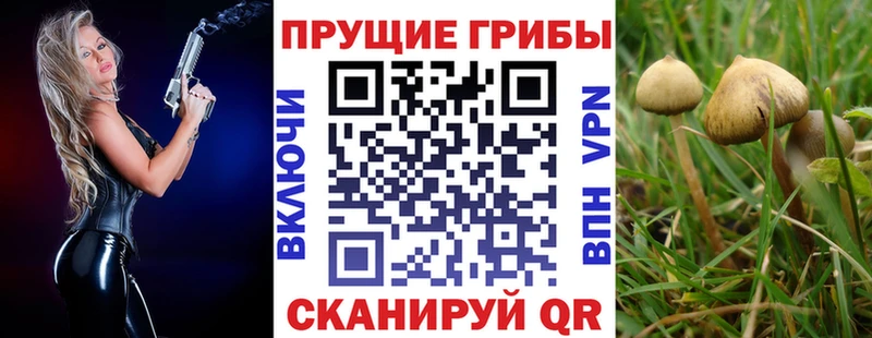 наркошоп  Мантурово  Псилоцибиновые грибы Magic Shrooms 